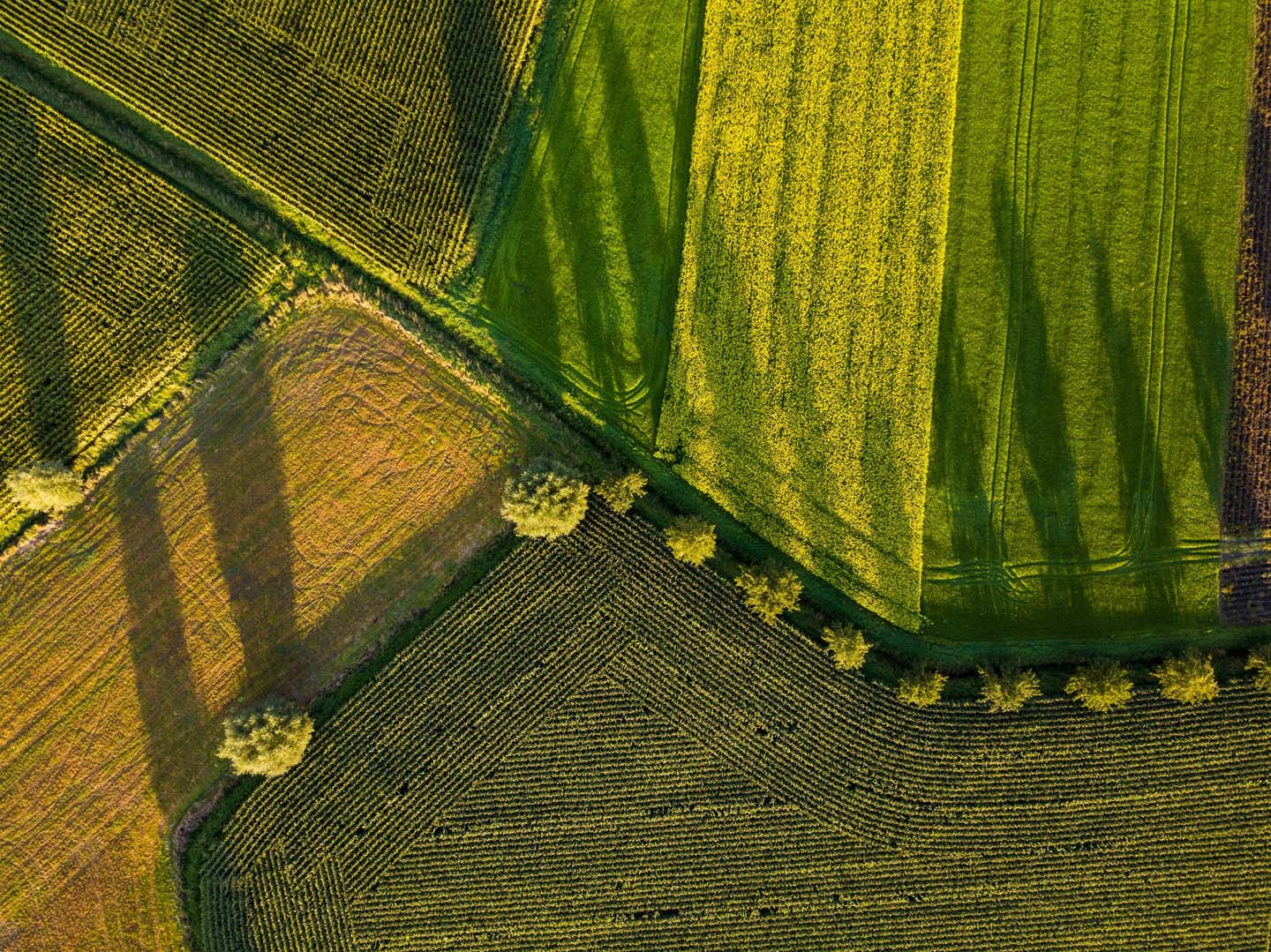 Trends in agriculture: What should companies be aware of?